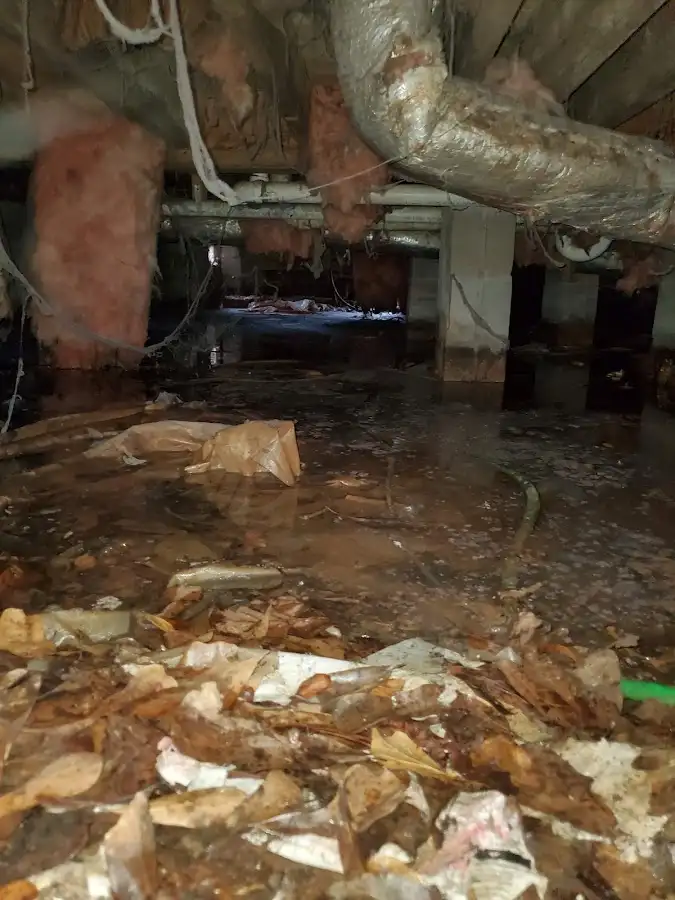 Crawl space flood assessment for Leak Detection & Repair in West Linn